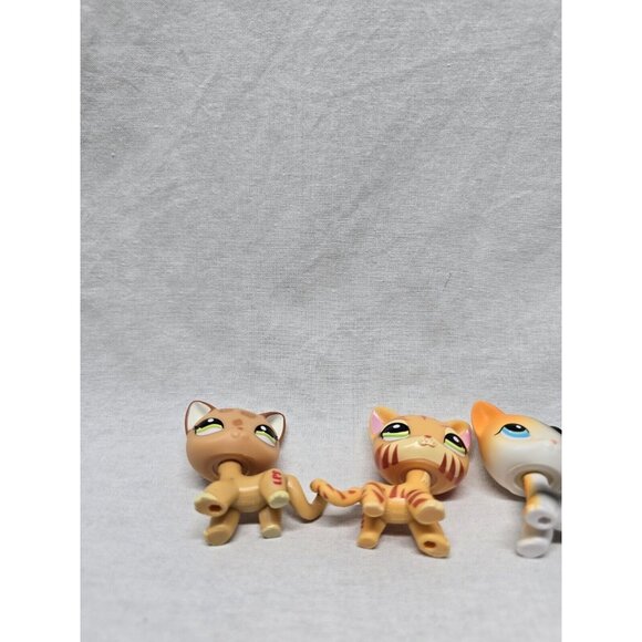 Bobble Head Pets-Leopard Short Hair Cat, Calico, Tabby Cat- - Picture 6 of 8